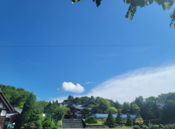 Traveling to Hokkaido with a 22-Month-Old Baby (Part 4)